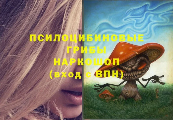 гидропоника Балабаново
