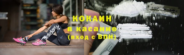 индика Балахна