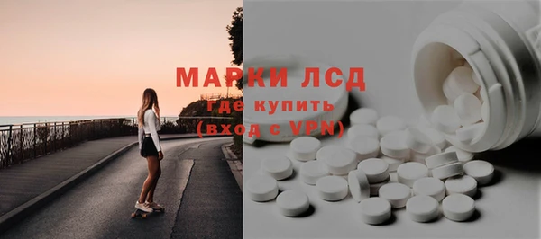 индика Балахна