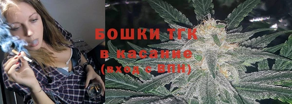 индика Балахна