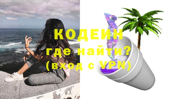 индика Балахна