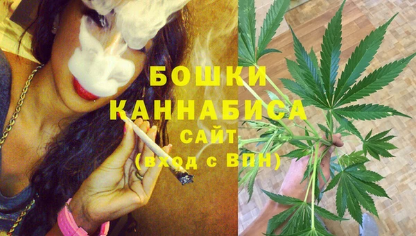 индика Балахна